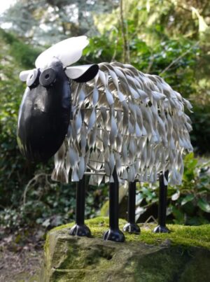 Sheep - Medium