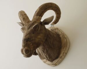 Goat Head