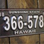 Sign (Hawaii Reg Plate)