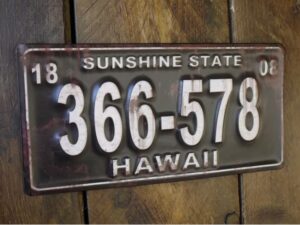 Sign (Hawaii Reg Plate)
