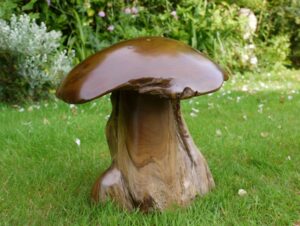 Wooden Mushroom