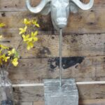 Buffalo Head