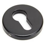 52mm Regency Concealed Escutcheon