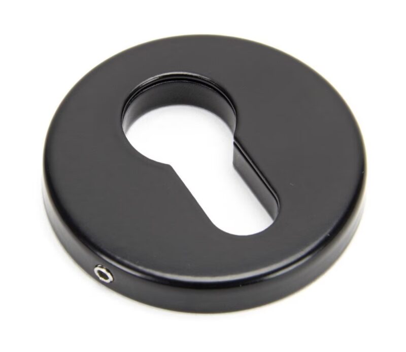 52mm Regency Concealed Escutcheon