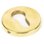 52mm Regency Concealed Escutcheon