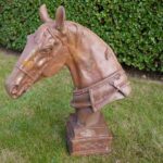 Horse Head