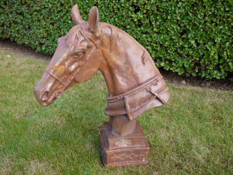 Horse Head