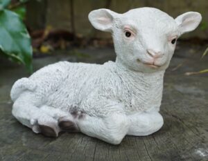 Lamb