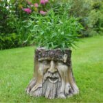 Tree Stump Planter