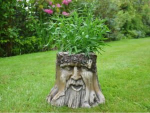 Tree Stump Planter