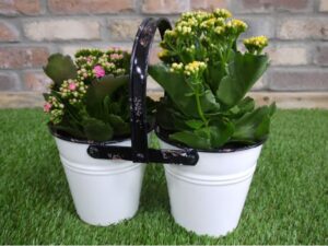 Double Planter
