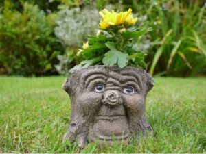 Tree Stump Planter