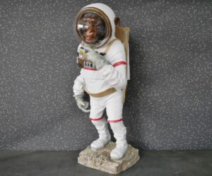 Space Monkey