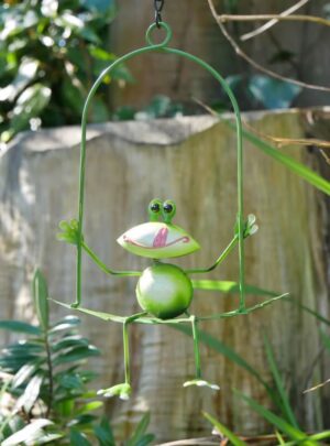 Frog On Leaf Swing