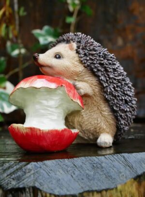 Hedgehog