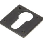 Avon Euro Escutcheon