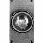 Pelton Door Knob On Jesmond Short Latchplate