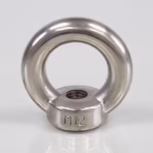 Eye Nut (to DIN 582)