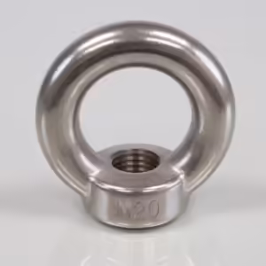 Eye Nut (to DIN 582)