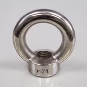 Eye Nut (to DIN 582)