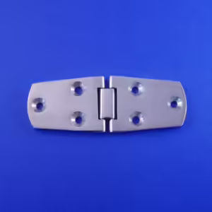 Flush Door Hinge